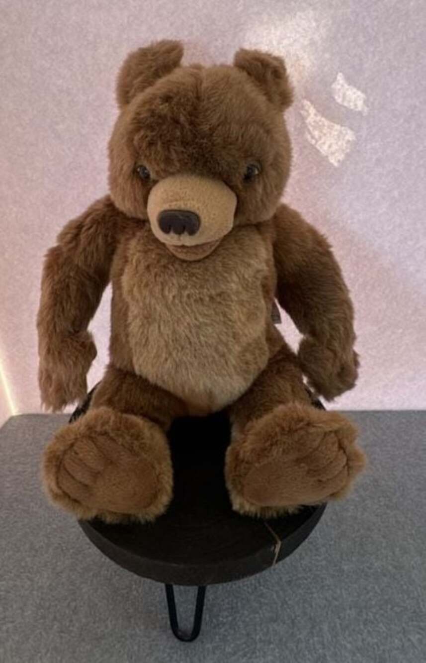 Maurice Sendak's Vtg LITTLE BEAR Plush 1998 Talks Giggles Tested & Working
